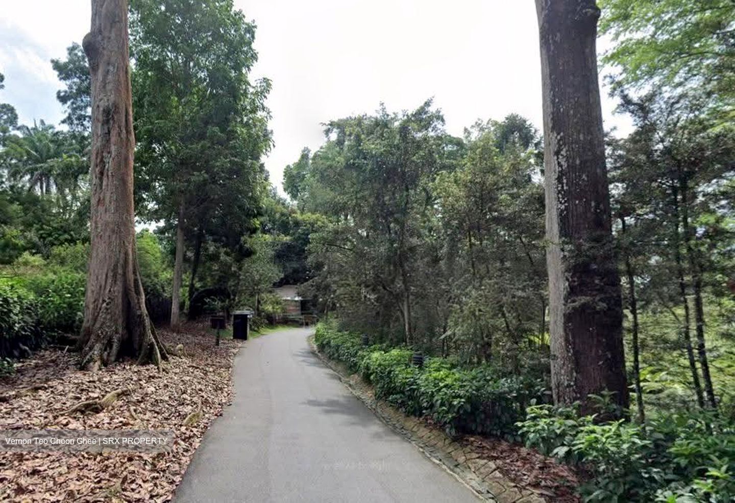Cluny Road (D10), Detached #633539761